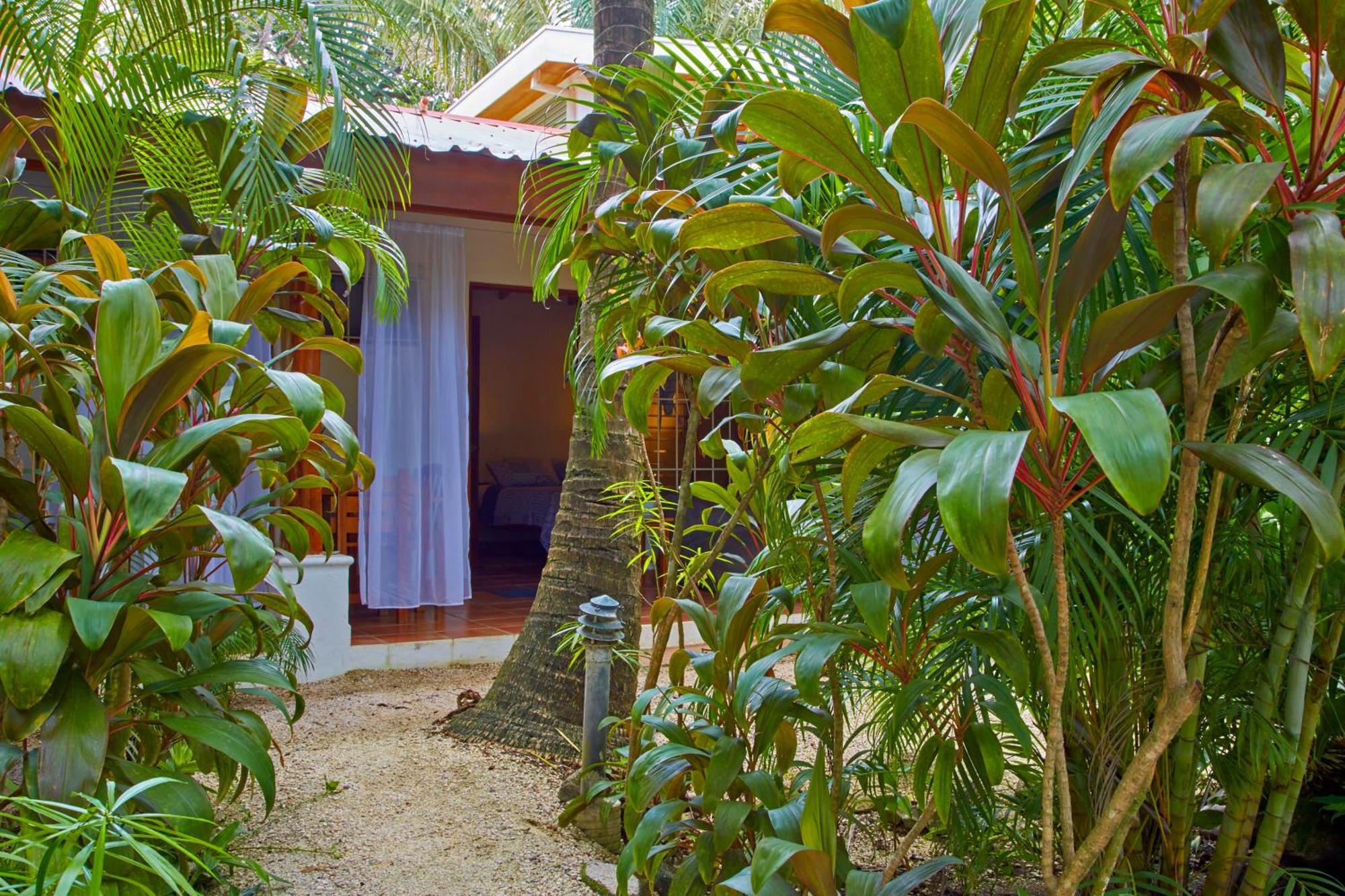 Living Hotel Nosara Δωμάτιο φωτογραφία