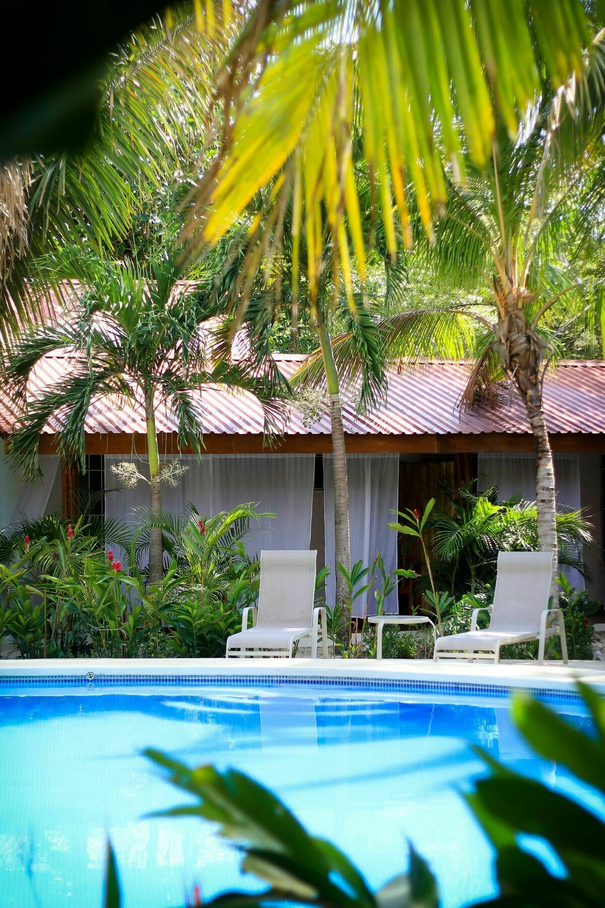 Living Hotel Nosara Εξωτερικό φωτογραφία